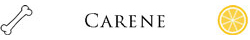 carene terpene properties