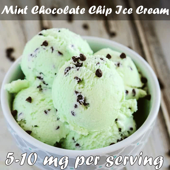 Mint Chocolate Chip Ice Cream recipe