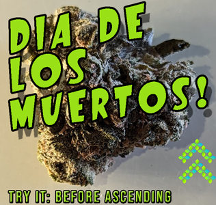 Dia De Los Muertos strain review