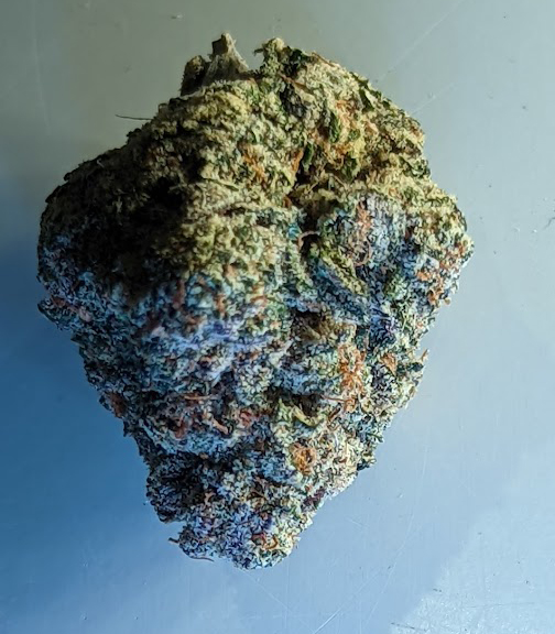 Gary Payton Strain from Bagged Buds, DC
