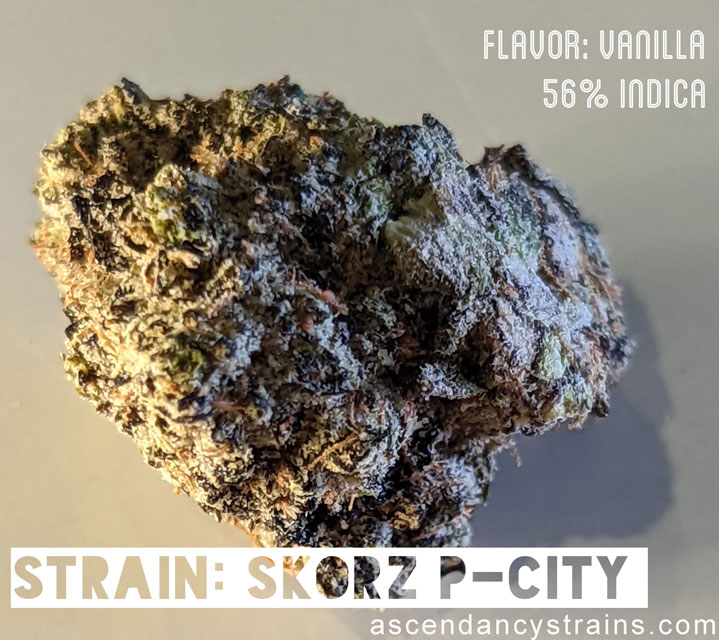 P City Skorz
