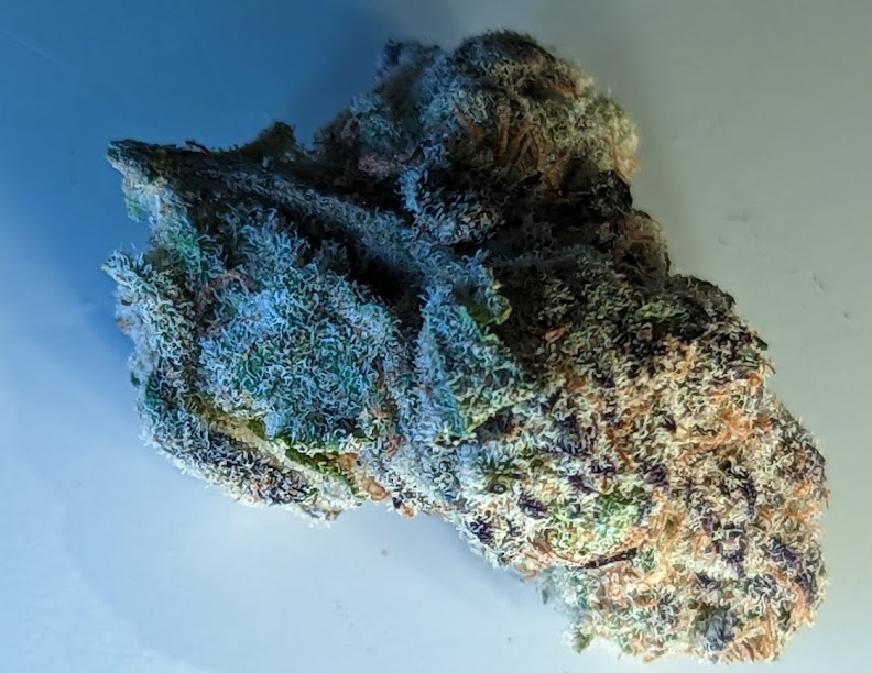 Panna Cotta Strain from Exotic Organics DC