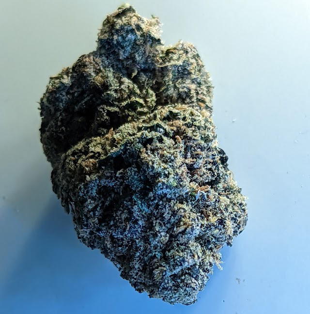 Super Cherry Runtz Strain from GHouse, DC