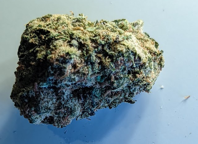 Lemon Cherry Gelato strain from Ghouse, DC