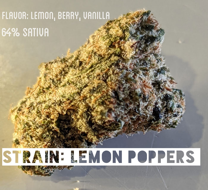 gelonade lemon poppers cannabis strain review