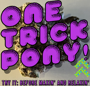 one trick pony strain review